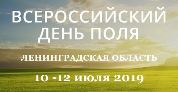 den-polya-2019